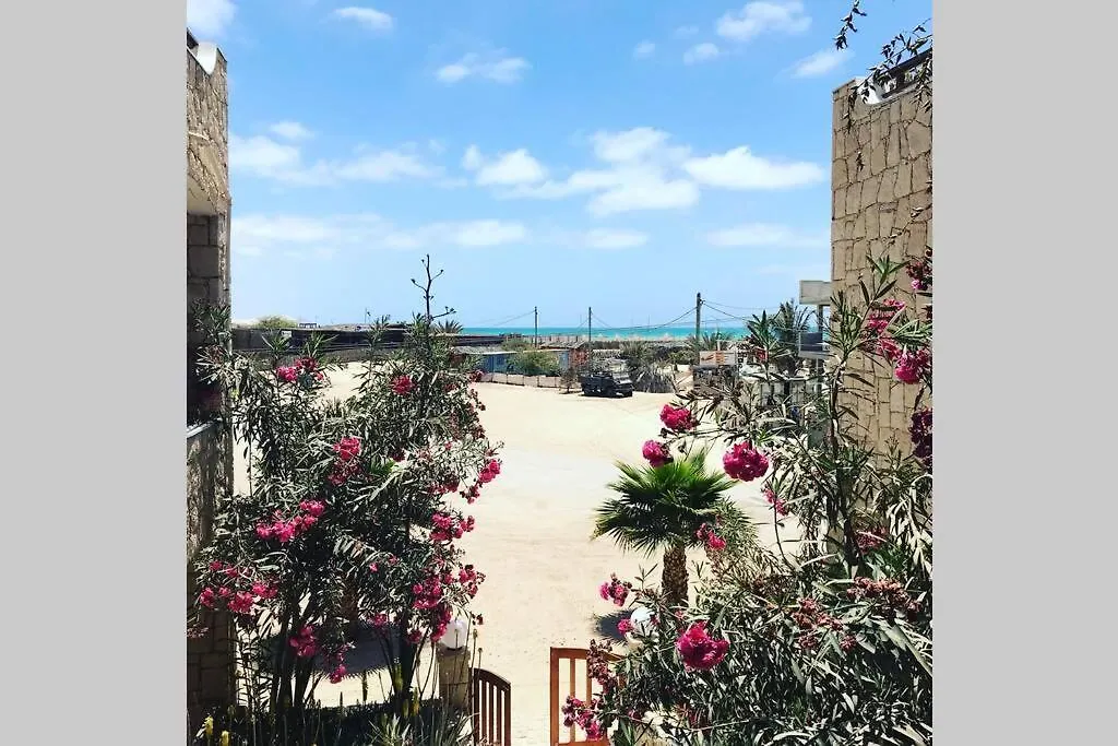 Ca' Greta F Apartment Sal Rei