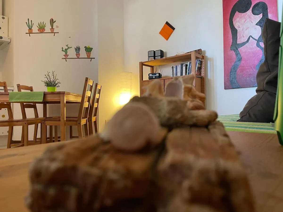 Ca' Greta F Apartment Sal Rei
